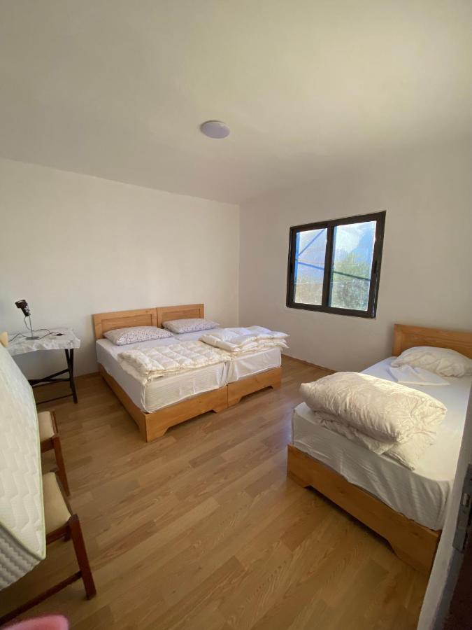 Rupa Guest House Camping Shkodra Kültér fotó