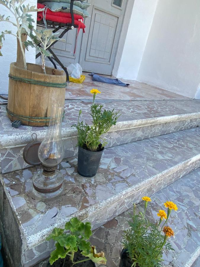 Rupa Guest House Camping Shkodra Kültér fotó