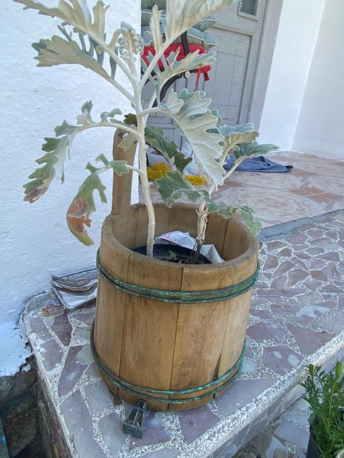 Rupa Guest House Camping Shkodra Kültér fotó