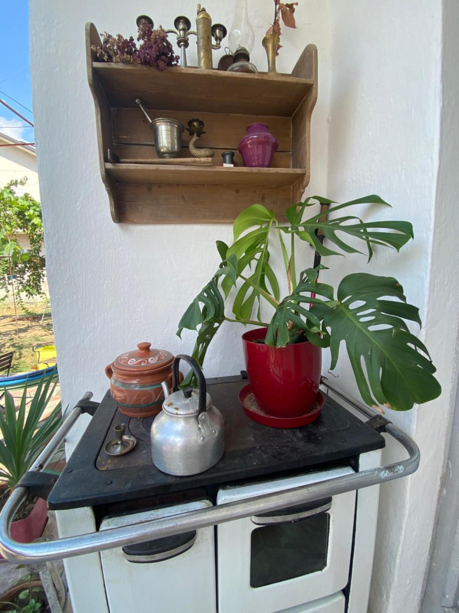 Rupa Guest House Camping Shkodra Kültér fotó